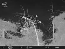 Lataa video gallerian katseluohjelmaan PULSAR AXION XQ30 Pro lämpökamera