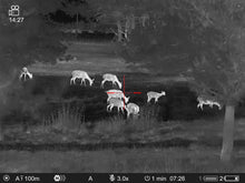 Lataa video gallerian katseluohjelmaan Pulsar Thermion 2 XQ50 Pro lämpökiikaritähtäin