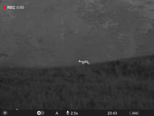 Lataa video gallerian katseluohjelmaan Pulsar Telos XP50 lämpökamera