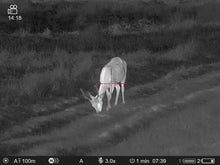 Lataa video gallerian katseluohjelmaan Pulsar Thermion 2 XQ50 Pro lämpökiikaritähtäin