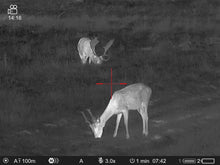 Lataa video gallerian katseluohjelmaan Pulsar Thermion 2 XQ50 Pro lämpökiikaritähtäin