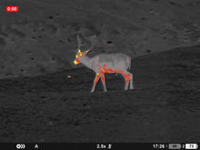 Lataa video gallerian katseluohjelmaan Laadukkaat pimeänäkölaitteet metsästykseen