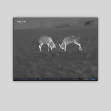 Lataa video gallerian katseluohjelmaan Pulsar Thermion 2 XP50 Pro lämpökiikaritähtäin