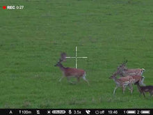 Lataa video gallerian katseluohjelmaan Pulsar Digex C50 (Pulsar Digex-X940S -infrapunavalaisimella)