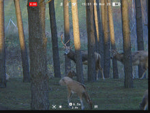 Lataa video gallerian katseluohjelmaan Pulsar Symbion LRF XT50 digitaalinen kuva
